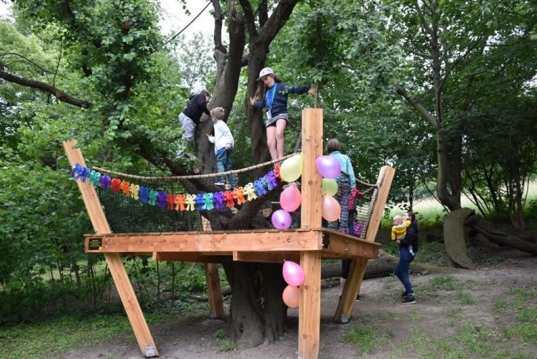 Nápad pro Šestku – nejasný osud úspěšného participačního projektu