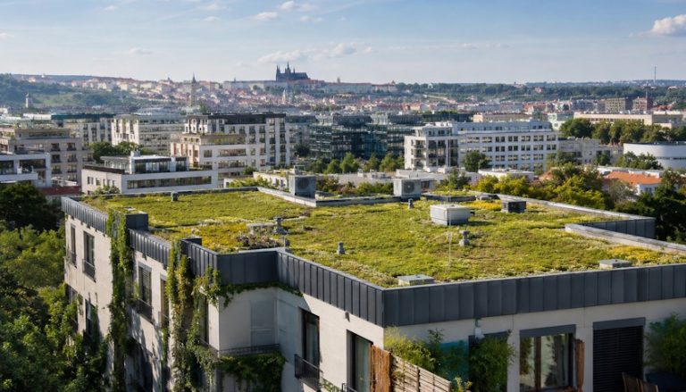 Praha nabízí dotace na zelené střechy i tepelná čerpadla. Jak o ně požádat?